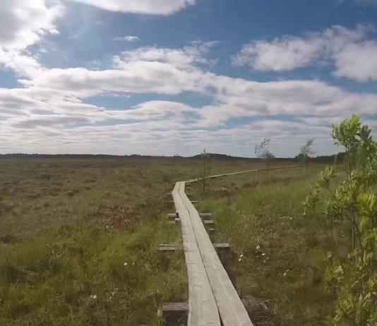 Torronsuon kansallispuisto