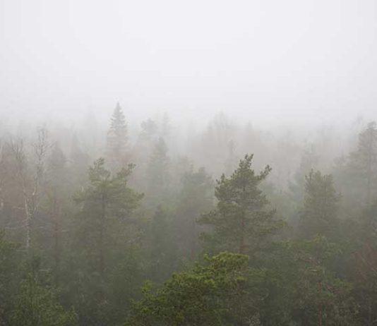 Lauhanvuori–Hämeenkangas Geopark Suomen uusi UNESCOn Global Geopark Lauhavuoren kansallispuisto ja UNESCOn Geopark