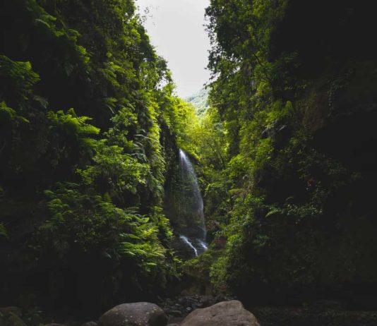 Kanariansaaret: La Palman saaren vehreät huiput ja vesiputoukset