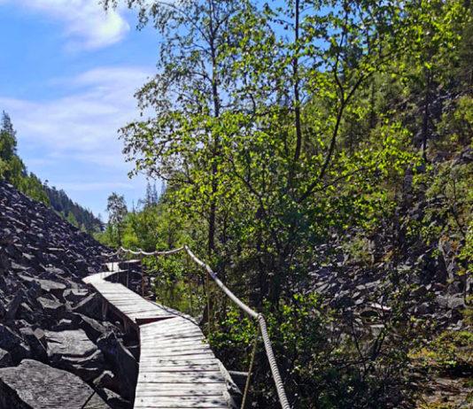 TULOSSA: Isokuru – Pyhä-Luoston kansallispuiston suosikki kunnostuksen kohteena Isokuru