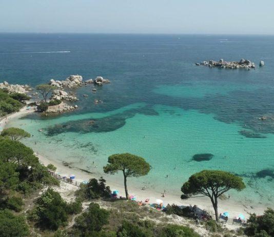 Palombaggia – Korsikan suosittu hiekkaranta