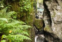 Tolminin rotko vie syvälle Slovenian vuoristoalueen virtaavaan uumaan