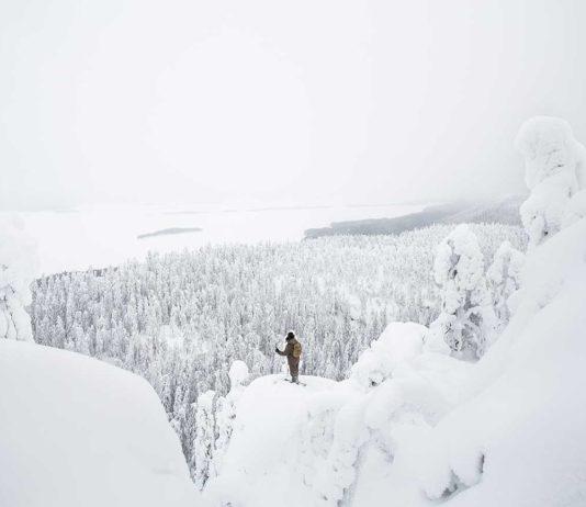 30-vuotias Kolin kansallispuisto on suositumpi kuin koskaan Kolin kansallispuisto Suomi