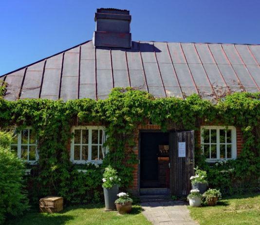 Rönnvikin viinitila Rönnvikin viinitila