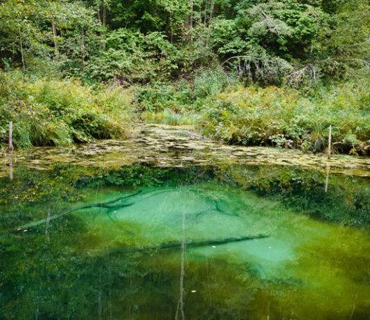 TULOSSA: Kirkasvetinen metsälähde Virossa Saula Siniallikad Saula Siniallikad, Saula, Harju