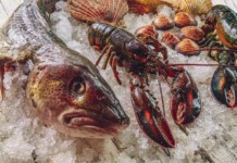 Helsingin parhaat ravintolat 2023