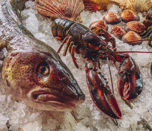 Helsingin parhaat ravintolat 2023