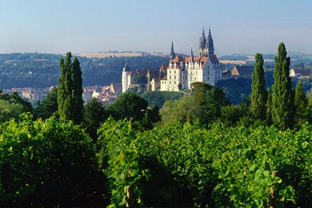 Tuulensuun omatuontioluita Sachsenin alueelta itäisestä Saksasta. Alue on myös yksi Saksan laatuviinialueista, jonka viinituotanto kulutetaan kotiseudullaan.
