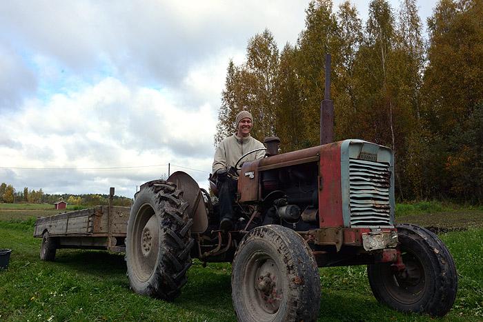 Puutarhalla ajellaan pienellä vanhalla traktorilla, sillä se ei keveytensä takia paina maata liian tiiviiksi.
